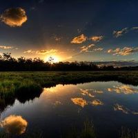 TabsOldaccount