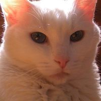 Casper