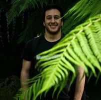 Giorgos