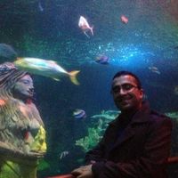 Davinder
