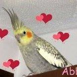 Abby