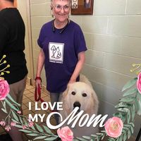 Sharon
