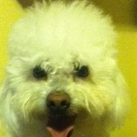 Charly