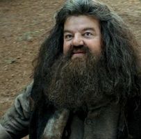 Hagrid