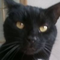 Duncan