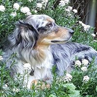 Susan