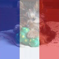 AurelieParis