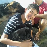 Daniel