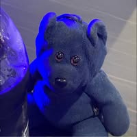 Ted