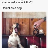 Daniel