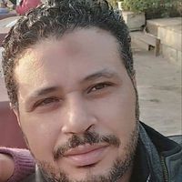 Wael Kotb