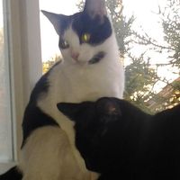 Terrence Wild Schultz