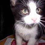Jack