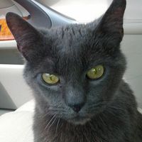 Sam