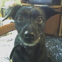 Billy