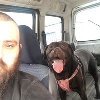 Dan