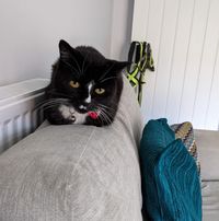 Fran
