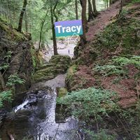 Tracy