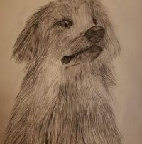 Lee