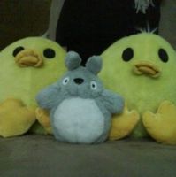 Siew