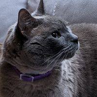 Ben