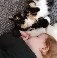 Gemma