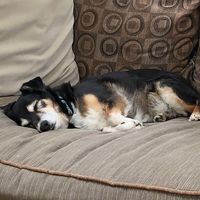 Tim
