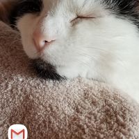 Julie
