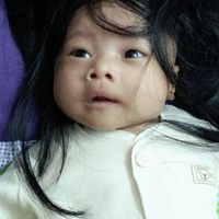 Johan