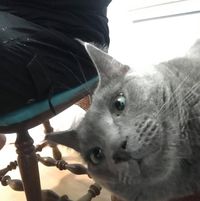 Brandon