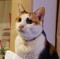 Janet