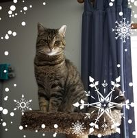 Julie