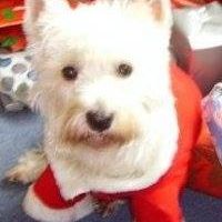 Poppy