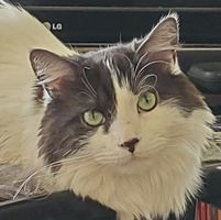 Angela