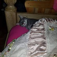 Gina