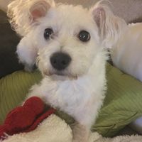 Amy