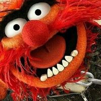 Rob