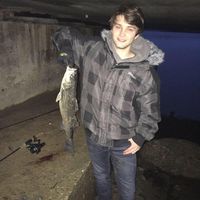 Jeremy