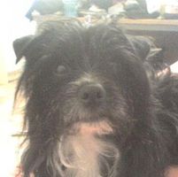 Charlie