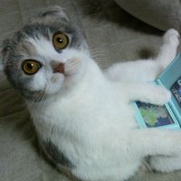 Hiroki