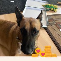 Gina