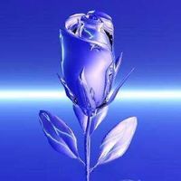 Lady Aen