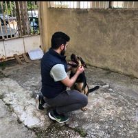 Nareg