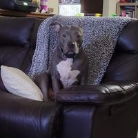 Brenda