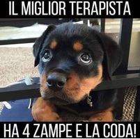 Cristian