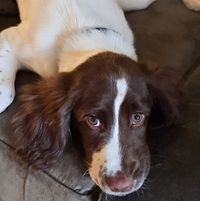 Greg