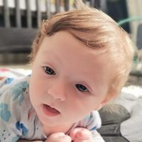 Brandan