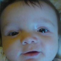 Damian