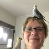 Karen