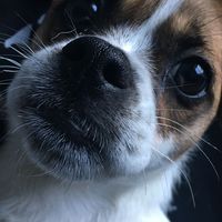 Sam